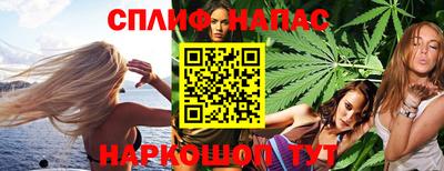 mdpv Краснознаменск
