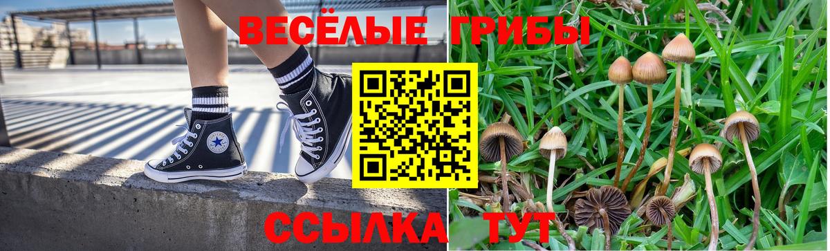 Галлюциногенные грибы мухоморы Волхов