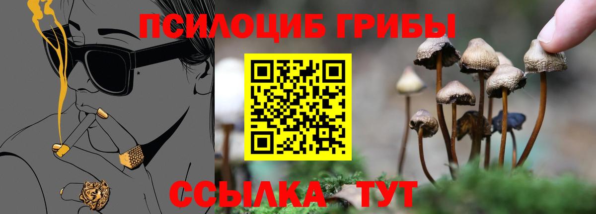 закладки  Псилоцибиновые грибы мухоморы  Вход с VPN  Волхов  Псилоцибиновые грибы прущие грибы 